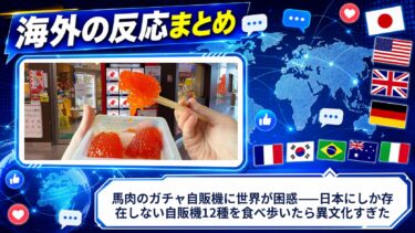 【海外の反応】馬肉のガチャ自販機に世界が困惑——日本にしか存在しない自販機12種を食べ歩いたら異文化すぎた