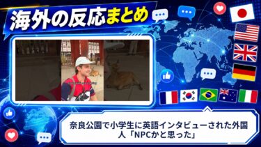【海外の反応】奈良公園で小学生に英語インタビューされた外国人「NPCかと思った」