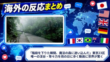 【海外の反応】「階段を下りた瞬間、魔法の森に迷い込んだ」東京23区唯一の渓谷・等々力を雨の日に歩く動画に世界が驚く