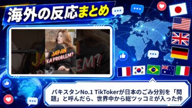 【海外の反応】パキスタンNo.1 TikTokerが日本のごみ分別を「問題」と呼んだら、世界中から総ツッコミが入った件