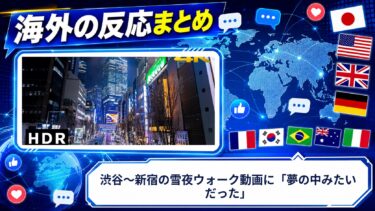 【海外の反応】渋谷〜新宿の雪夜ウォーク動画に「夢の中みたいだった」