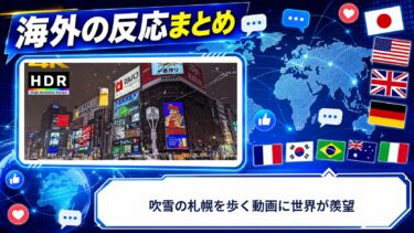【海外の反応】吹雪の札幌を歩く動画に世界が羨望